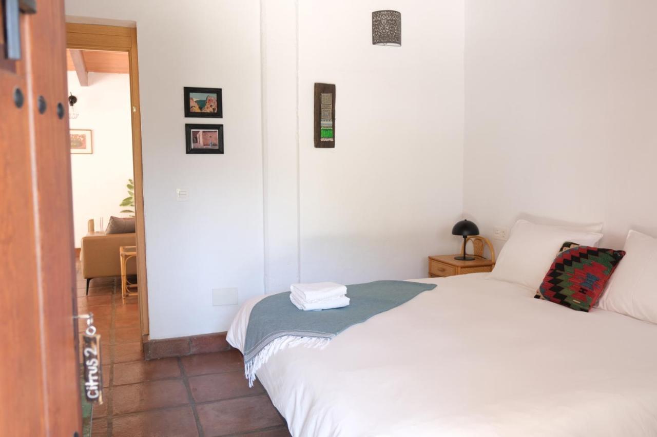 The Wild Olive Andalucia Citrus Suite Casares Eksteriør billede