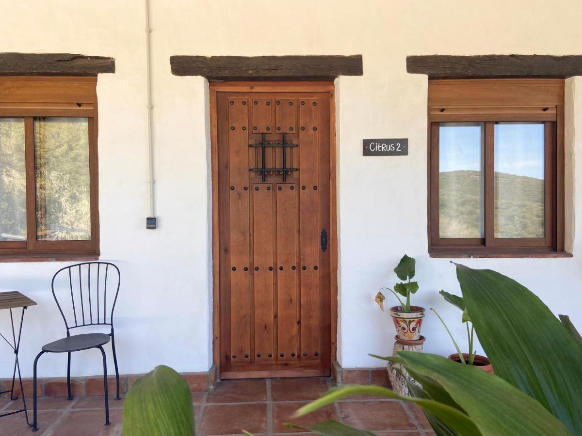 The Wild Olive Andalucia Citrus Suite Casares Eksteriør billede